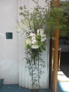 「花もみじ　本店」　（北海道苫小牧市）の花屋店舗写真3